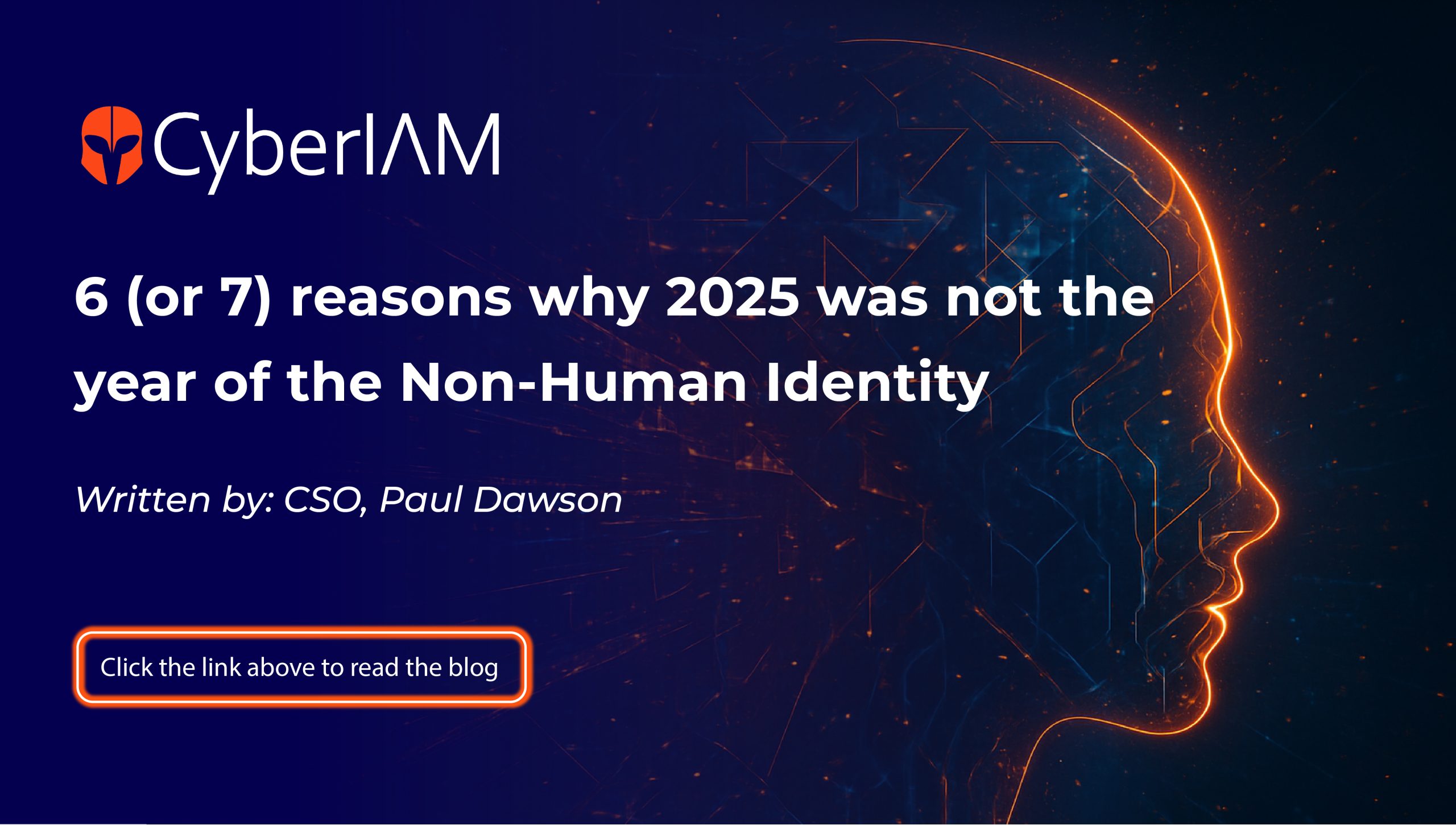 6 (or 7) Reasons Why 2025 Was Not the Year of the Non-Human Identity (NHI)